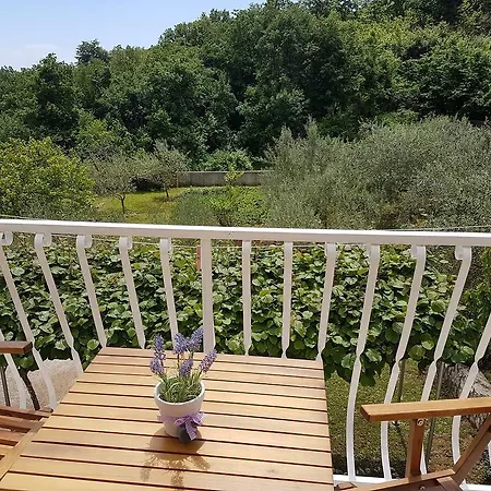 Drenje 2